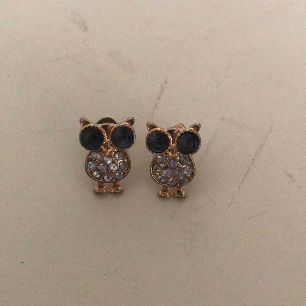 Owl Earrings